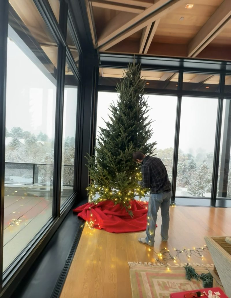 Lighting a tall tree beside floor-to-ceiling windows