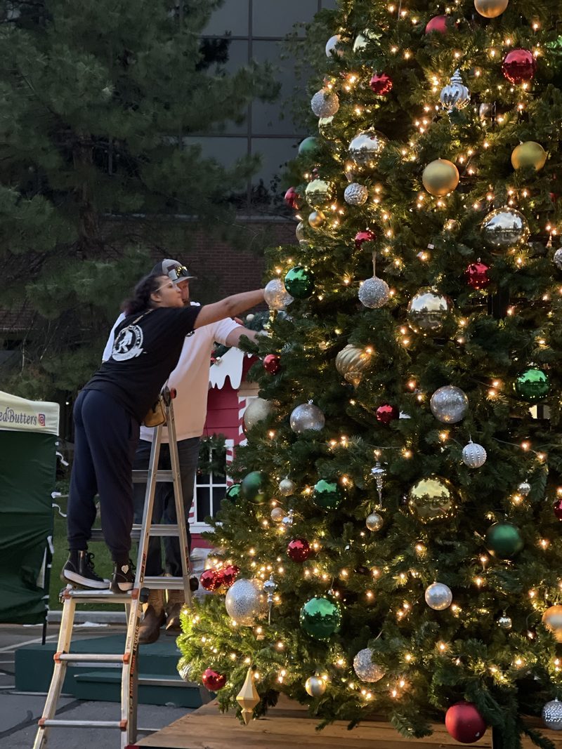 Joe and Celly hanging ornaments on a large outdoor tree